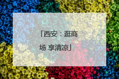 西安：逛商场 享清凉
