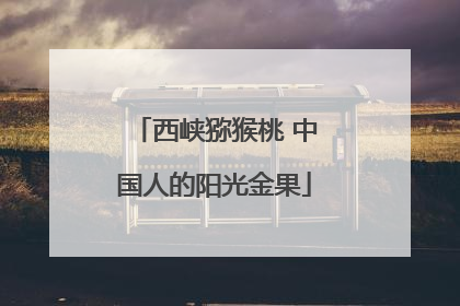 西峡猕猴桃 中国人的阳光金果