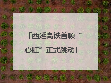 西延高铁首颗“心脏”正式跳动