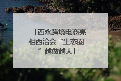 西永跨境电商亮相西洽会“生态圈”越做越大