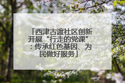 西津古渡社区创新开展“行走的党课”：传承红色基因、为民做好服务