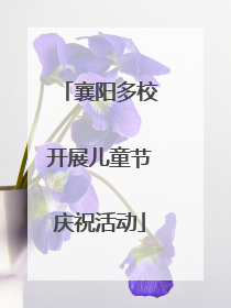 襄阳多校开展儿童节庆祝活动