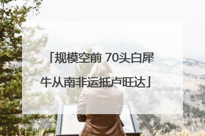 规模空前 70头白犀牛从南非运抵卢旺达