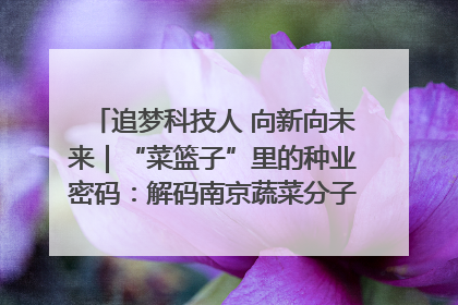 追梦科技人 向新向未来｜“菜篮子”里的种业密码：解码南京蔬菜分子育种的创新之路