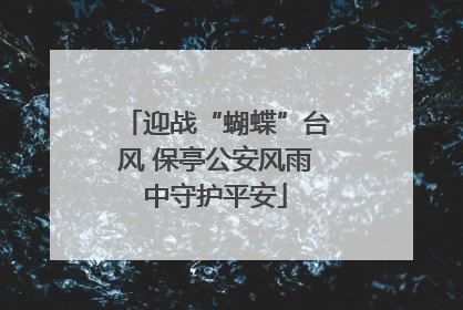 迎战“蝴蝶”台风 保亭公安风雨中守护平安