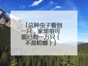 这种虫子看到一只，家里很可能已有一万只（不是蟑螂）