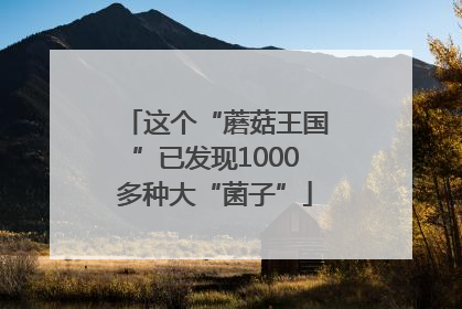 这个“蘑菇王国”已发现1000多种大“菌子”