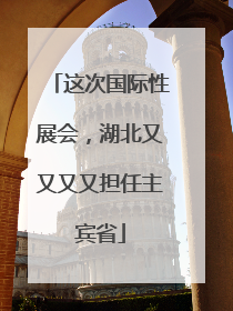 这次国际性展会，湖北又又又又担任主宾省