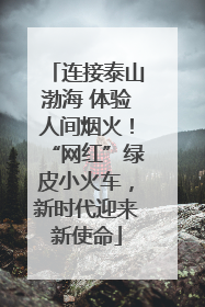 连接泰山渤海 体验人间烟火！“网红”绿皮小火车，新时代迎来新使命
