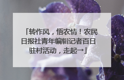 转作风，悟农情！农民日报社青年编辑记者百日驻村活动，走起→