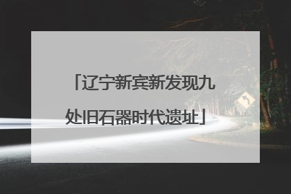 辽宁新宾新发现九处旧石器时代遗址