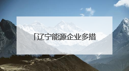 辽宁能源企业多措并举备战迎峰度夏