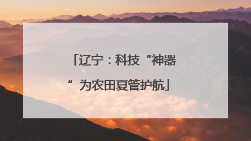 辽宁：科技“神器”为农田夏管护航
