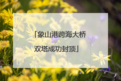 象山港跨海大桥双塔成功封顶