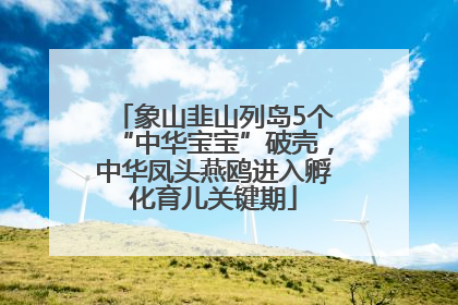 象山韭山列岛5个“中华宝宝”破壳，中华凤头燕鸥进入孵化育儿关键期