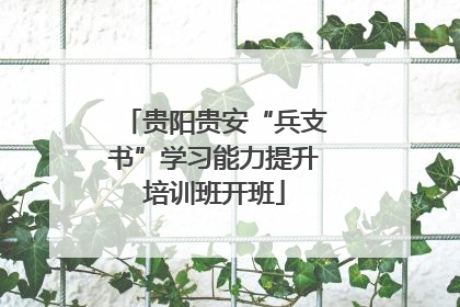 贵阳贵安“兵支书”学习能力提升培训班开班