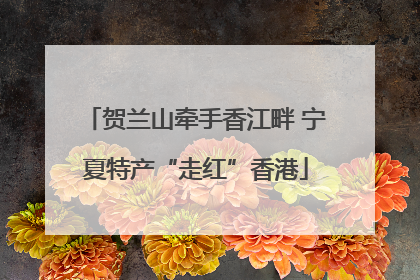 贺兰山牵手香江畔 宁夏特产“走红”香港