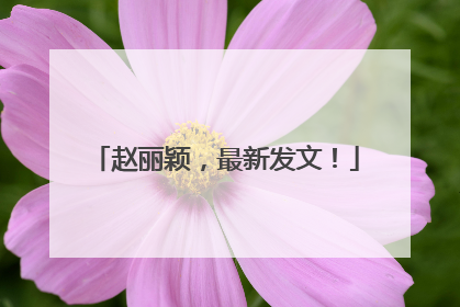 赵丽颖,最新发文!