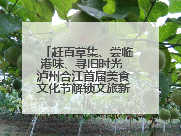 赶百草集、尝临港味、寻旧时光 泸州合江首届美食文化节解锁文旅新体验丨网络中国节·端午