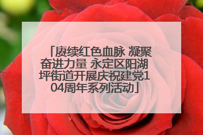 赓续红色血脉 凝聚奋进力量 永定区阳湖坪街道开展庆祝建党104周年系列活动