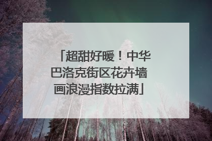 超甜好暖！中华巴洛克街区花卉墙画浪漫指数拉满