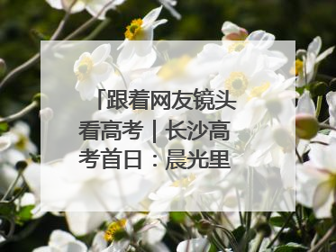跟着网友镜头看高考｜长沙高考首日：晨光里的奔赴与守望