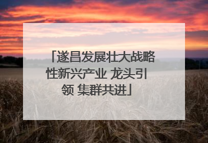遂昌发展壮大战略性新兴产业 龙头引领 集群共进