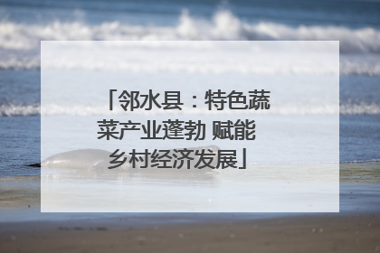 邻水县：特色蔬菜产业蓬勃 赋能乡村经济发展