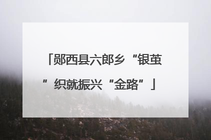 郧西县六郎乡“银茧”织就振兴“金路”