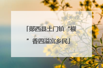 郧西县土门镇“椒”香四溢富乡民