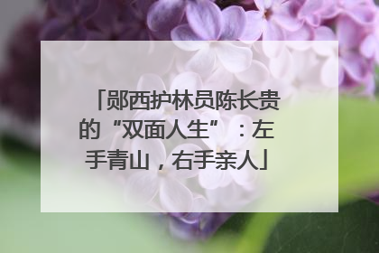 郧西护林员陈长贵的“双面人生”：左手青山，右手亲人