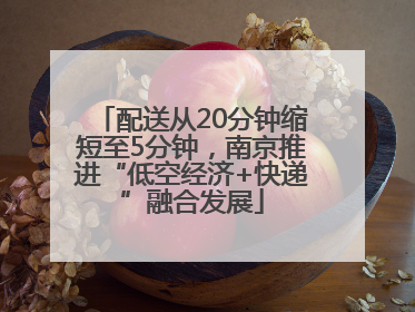 配送从20分钟缩短至5分钟，南京推进“低空经济+快递”融合发展