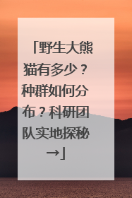 野生大熊猫有多少？种群如何分布？科研团队实地探秘→
