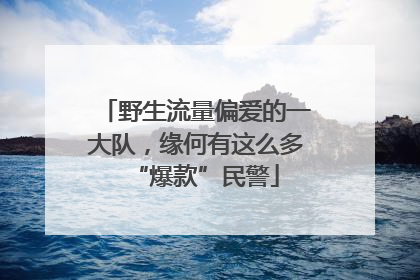 野生流量偏爱的一大队，缘何有这么多“爆款”民警