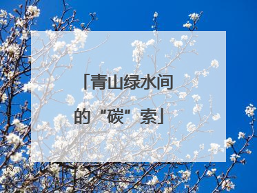青山绿水间的“碳”索