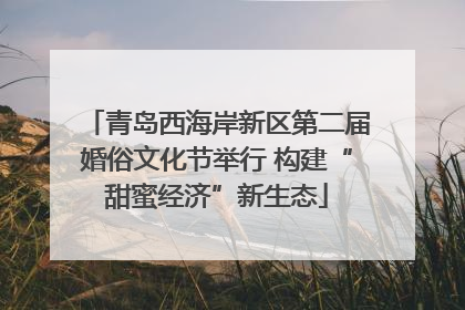 青岛西海岸新区第二届婚俗文化节举行 构建“甜蜜经济”新生态