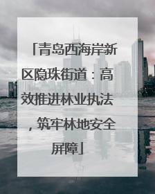青岛西海岸新区隐珠街道：高效推进林业执法，筑牢林地安全屏障