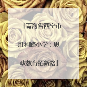 青海省西宁市胜利路小学：思政教育拓新路