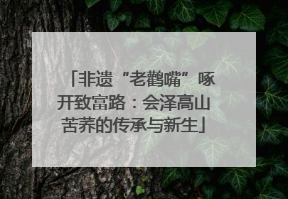 非遗“老鹳嘴”啄开致富路：会泽高山苦荞的传承与新生