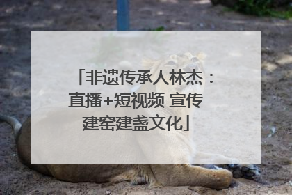 非遗传承人林杰：直播+短视频 宣传建窑建盏文化