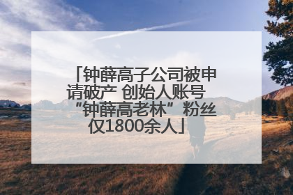 钟薛高子公司被申请破产 创始人账号“钟薛高老林”粉丝仅1800余人