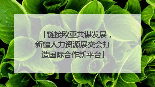 链接欧亚共谋发展，新疆人力资源展交会打造国际合作新平台