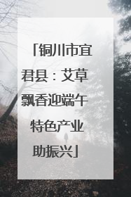 铜川市宜君县：艾草飘香迎端午 特色产业助振兴
