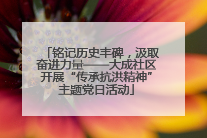 铭记历史丰碑，汲取奋进力量——大成社区开展“传承抗洪精神”主题党日活动