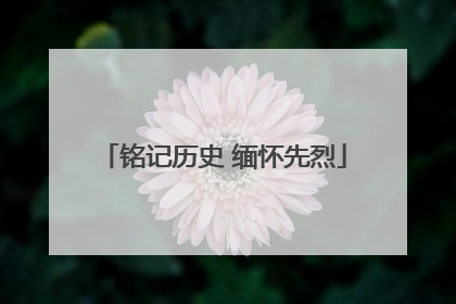 铭记历史 缅怀先烈