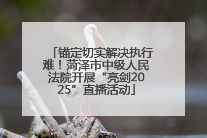 锚定切实解决执行难！菏泽市中级人民法院开展“亮剑2025”直播活动