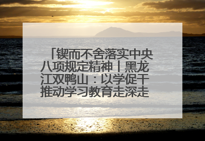 锲而不舍落实中央八项规定精神丨黑龙江双鸭山：以学促干推动学习教育走深走实 从小事入手写好“民生答卷”