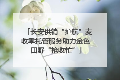 长安供销“护航”麦收季托管服务助力金色田野“抢收忙”