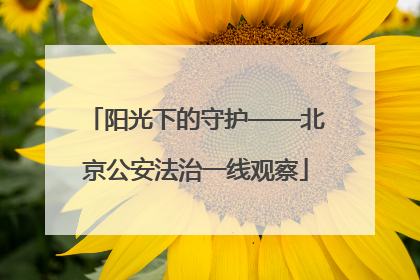 阳光下的守护——北京公安法治一线观察