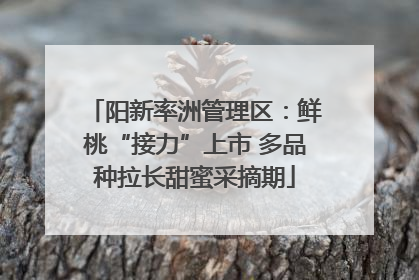 阳新率洲管理区：鲜桃“接力”上市 多品种拉长甜蜜采摘期